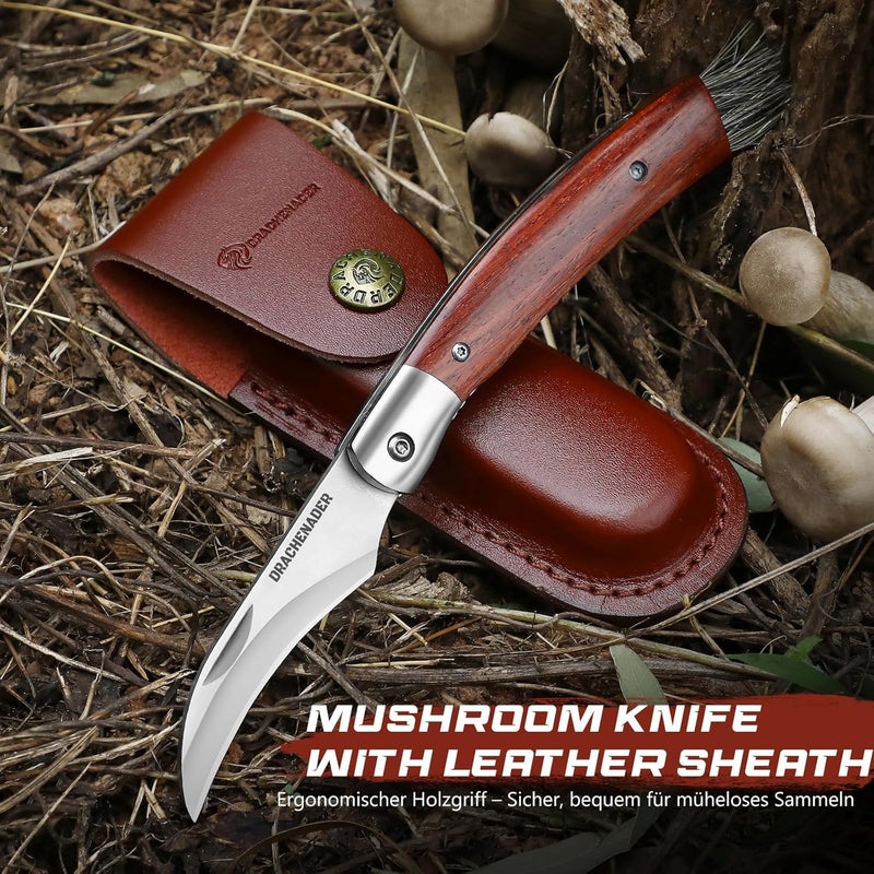 DRACHENADER Mushroom Knife N-1, 8.15" Folding Mushroom Knife with Brush, Leather Sheath, 5Cr14MoV Stainless Steel Blade, secure Liner-Lock Design for Foraging and Harvesting - Image 4